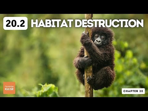 IGCSE Biology - Habitat destruction (20.2)