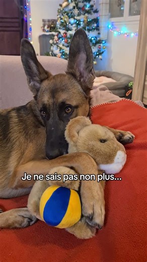 Quelle susceptibilité. #foryou #fypage #tiana #funny #humor #viralvideo #fyp #videoshort #viralshort