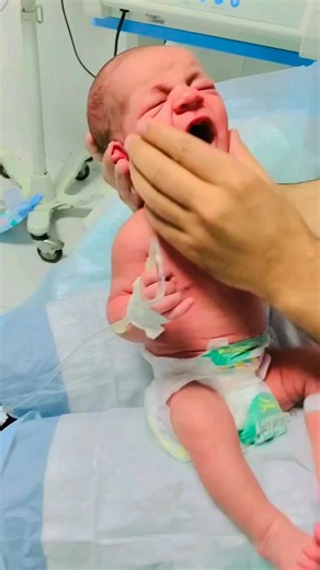 6.8K views · 128 reactions | Newborn Baby Still Hungry After Feeding | Adorable Crying for Milk‍ #NewbornBaby #HungryBaby #nicucare | Anoop Gautam | Facebook