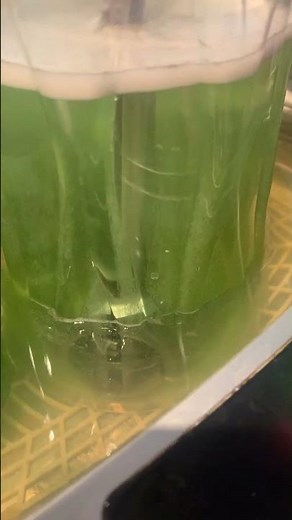 Cleaning tools in an ultrasonic cleaner using 1 oz. of Simple Green and 1 teaspoon of OxiClean.