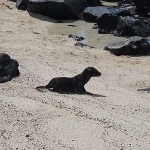 ガラパゴス7日間の旅〜7日目 サン・クリストバル観光〜【思い出の場所ランキングベスト3】