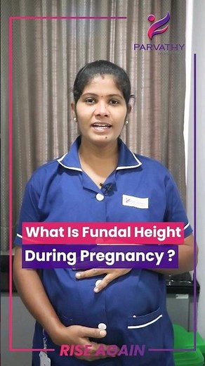 What Is Fundal Height During Pregnancy ?