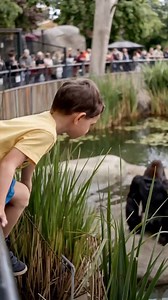 674K views · 10K reactions | Simulated Reality on Reels | Facebook