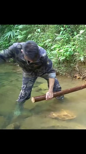 2.9M views · 10K reactions | Build a House from Abandoned coconut shells - Grow Vegetables, Fish and Cook. #bushcraft #build #camp #camping #ourdoor #survival #shelter #viral #fyp | TheKing&nature | Facebook