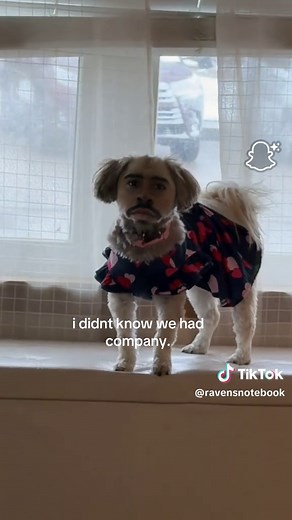 Bad Bunny's Unexpected Company