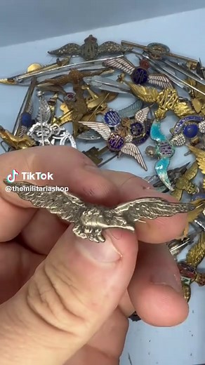 Starting Your Collecting Journey: Tips for Beginners