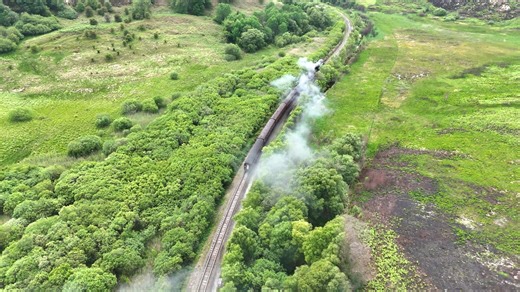 A moment of calm as Repton passes through Fen Bog Come and experience the beauty of the North York Moors onboard one of our heritage trains. Book your tickets online or through our ticket offices. www.nymr.co.uk 🎥 #lifeontheheritagerails #nymr #reptonloco | North Yorkshire Moors Railway