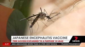 Free access to the Japanese encephalitis vaccine has been extended to people over 50 in more regional communities across New South Wales. A survey of over a 1,000 people, found 1 in 11 had previously been exposed to the virus. Those in 14 local council areas, including Albury, Dubbo and Griffith, can now get the vaccine through their GP. 7NEWS at 6pm. More local news: 7news.com.au/news/Sydney #JapaneseEncephalitis #7NEWS | 7NEWS Sydney