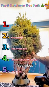 70K views · 369 reactions | Top 5 Christmas Tree Fails  | Top 5 Moments | Facebook