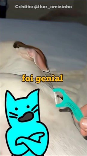 Quando vejo música em tudo (@thor_oreizinho)