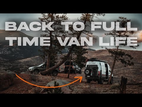 "Average Day" of Van Life! | The boys are back!