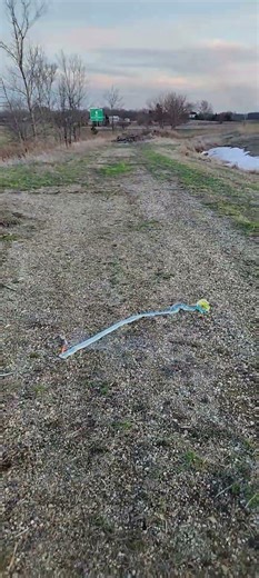 mad ox COLORED cracker string, I wasn't expecting that! #fireworks #pyro