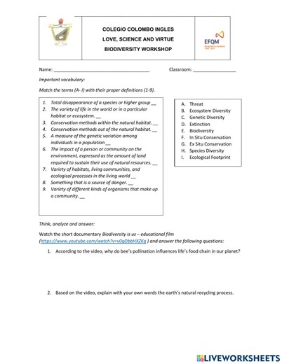 Biodiversity workshop worksheet