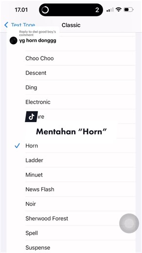 Unique Notification Ringtones for Messages and Alerts