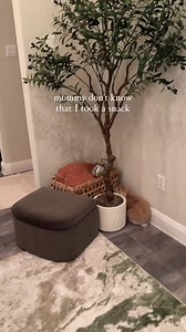 3.7K views · 381 reactions | When you know you're too cute for the naughty list...  @basiltheminilop #naughtyornice #santapaws #christmas #holiday #cute #bunny #bunniesofinstagram #bunnylove #bunfluencer #bunnylife #rabbits #houserabbits #smallpetselect | Small Pet Select | Facebook