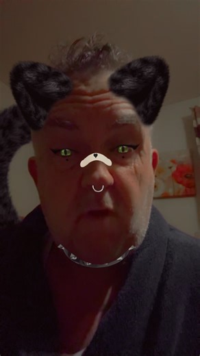 In the ghetto #catman #lov #jokes #elvis #sigma