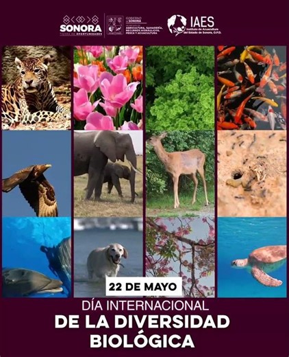 Día internacional de la diversidad biológica