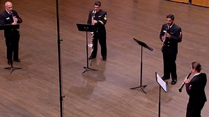 96K views · 2.1K reactions | It's officially #summer, and with that comes the creatures and critters that provide us with natural music during the warm evenings! And while cicada season may be winding down, we hope you enjoy this rendition of "Circus Bee March" by our buzzing #clarinet quartet. #BroodX #NavyMusic | United States Navy Band | Facebook