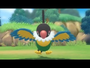 How to Catch CHATOT (Route 222) - Pokemon Brilliant Diamond & Shining Pearl