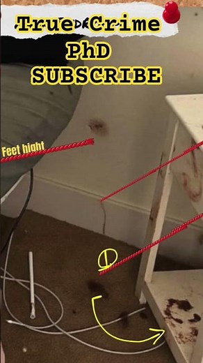 Patterns of Crime: Analyzing the Scenes