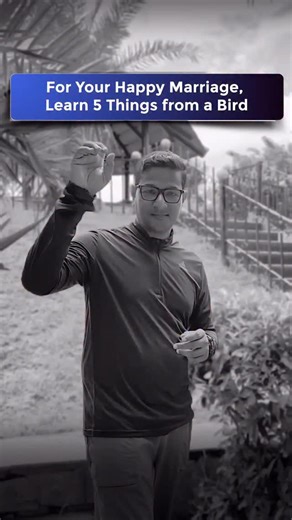 5.5K views · 47 reactions | What if a bird could teach you the secret...