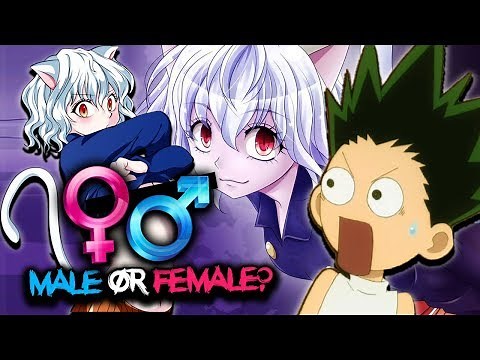 is Neferpitou a Female or Male? - Hunter x Hunter Explained