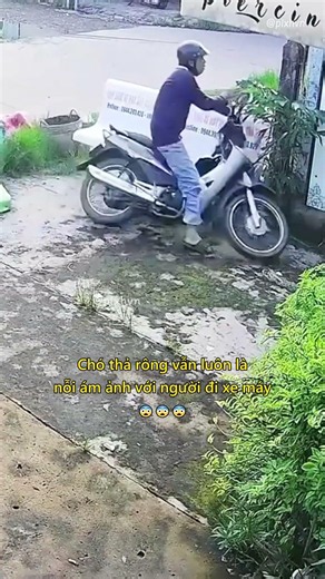 Chó thả rông vẫn luôn là nỗi ám ảnh với người đi xe máy 😨 #antoangiaothong #luatgiaothong #shorts