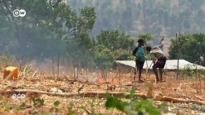 35K views · 182 reactions | Rwanda: Rural farmers could soon forget the pains of draught. | East Africa Daily | Facebook