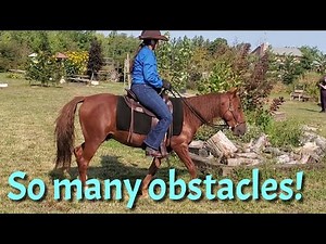 Happy Trails Horse Park- so many fun obstacles and challenges