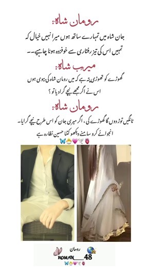 Exploring the Themes in Roman Shah's Novels