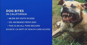 Record number of people hospitalized because of dog bites