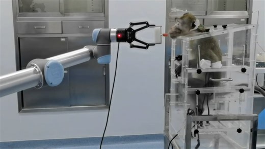 Chinese scientists harness power of ‘entanglement’ to fuel quantum engine