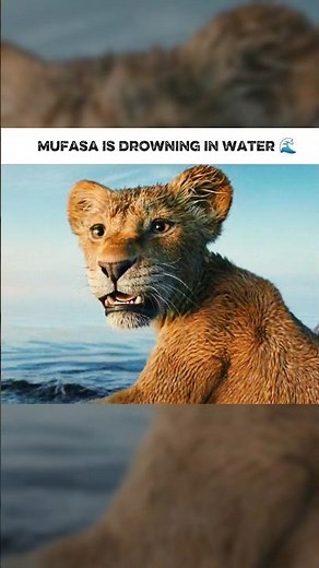 Mufasa Lion King movie 4K quality edit, epic scenes, king’s pride and legendary legacy.