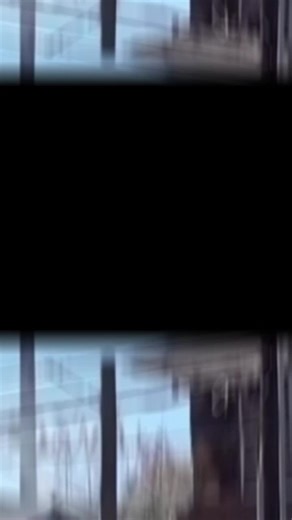 Some News clips prove we live in GTA #realworld #gta #news #wtf #crime