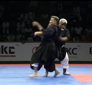 Karate Shihan (師範) Shichidan 7th Dan Techniques 😱 | Martial Arts & Pen