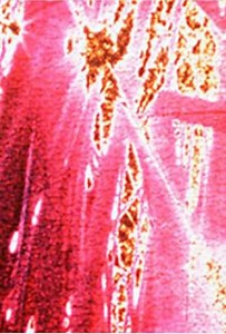 Spring Flavor (1996) - Movie