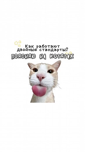 Как работают двойные стандарты на примере котят