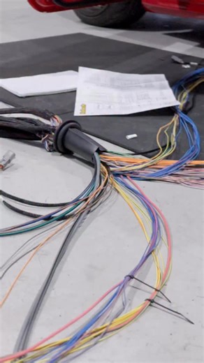 Haltech on Instagram: "It really is that easy, unless you were the kid in kindergarten who couldn’t colour between the lines 🫣"