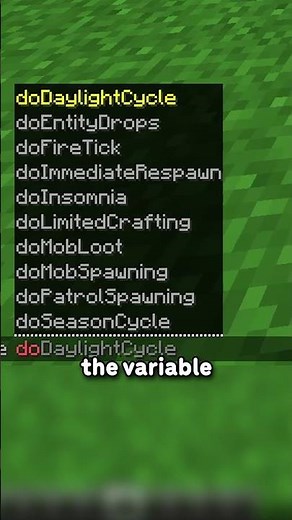 Minecraft FINALLY Made Game Rules Easier...