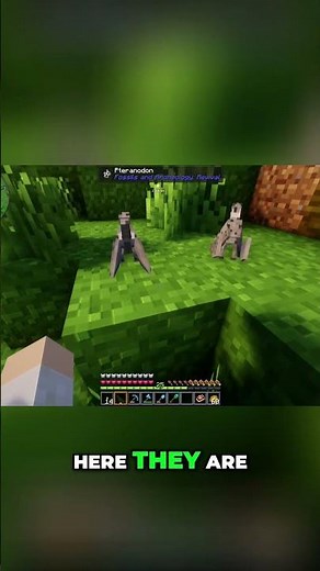 Minecraft Dinosaurs! White Pteranodons Hatch! #minecraftmods #minecraft