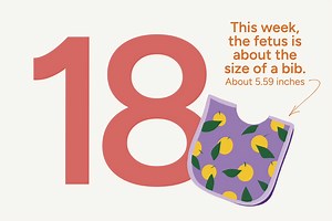 Week 18 of Your Pregnancy