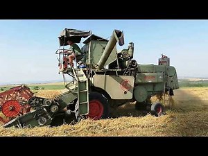 Claas Matador Standard combine harvester 2021