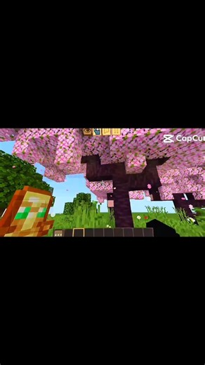 aura fps Minecraft shadow #minecraft #xh