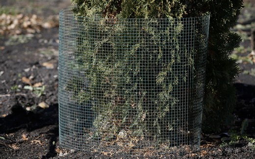 Here’s your last-minute yard and garden fall checklist