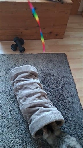 my tunnel and me 😊