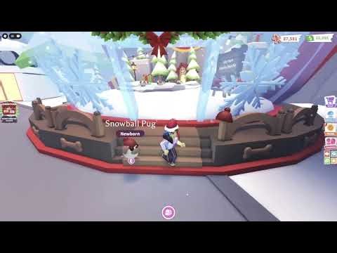 Roblox: Adopt Me! Snowball Pug!