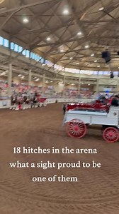 97K views · 3.8K reactions | Having a blast at the Clydesdale World Show in Springfield Illinois #fyp #clydesdales #winfieldkansas #horses #livingmybestlife #hardworkpaysoff #dreamscometrue #workhardplayhard #earthshakers #enjoytheride #livingthedream #farmlife | Broken Spoke Clydesdale's | Facebook