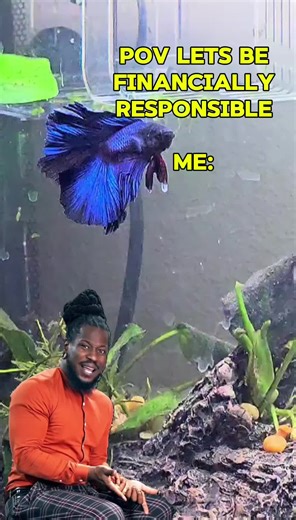 Nightfall_aquatics on TikTok