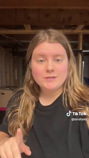 Explore the Rich History of Poodle Grooming Traditions