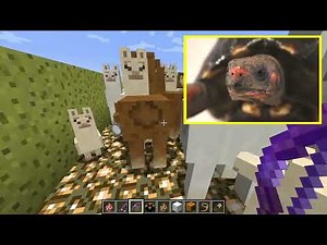 Preview 2 Tortoise Playing Minecraft V3